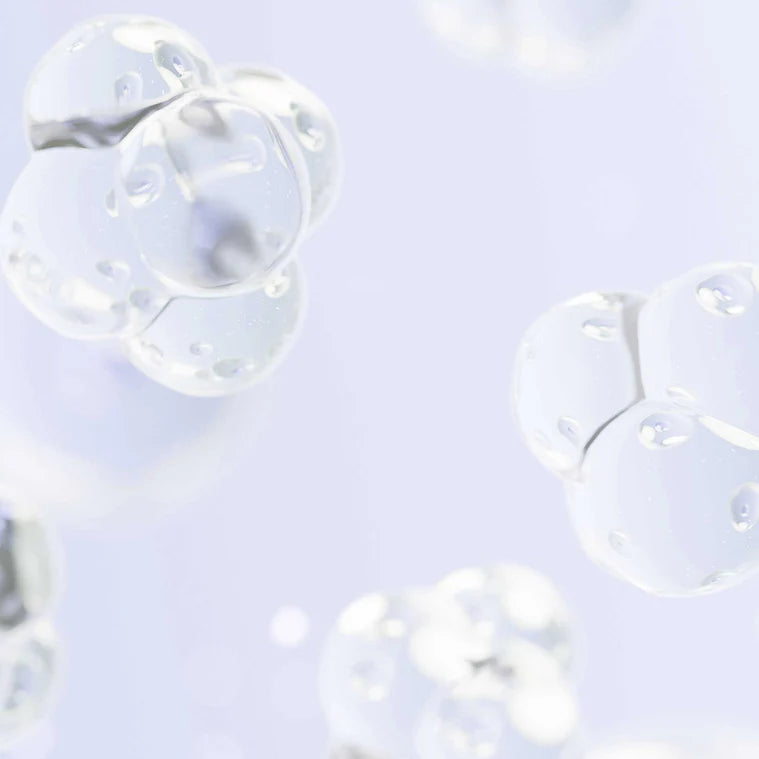 NIMNI COLLAGEN SUPPORT COMPLEX